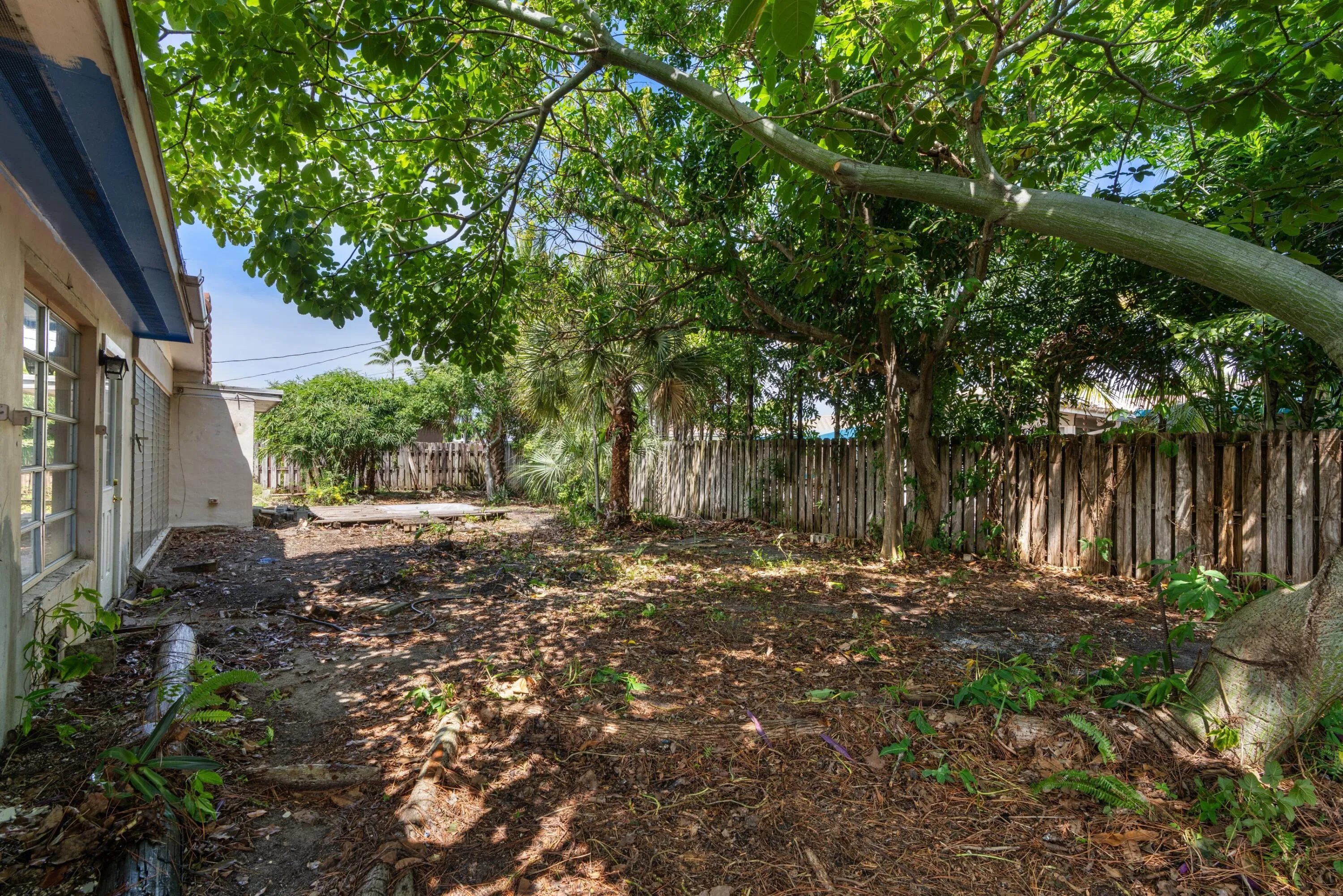 Backyard