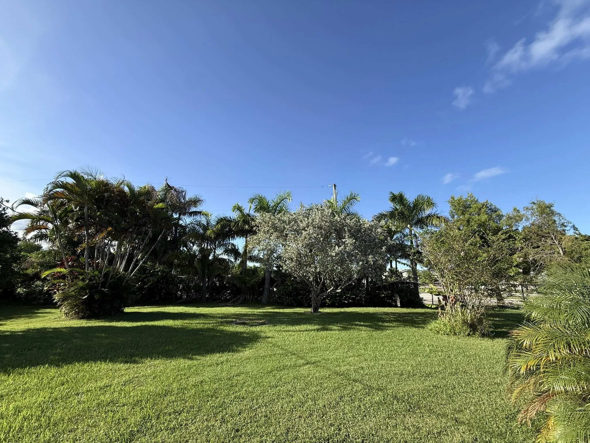 Private Backyard