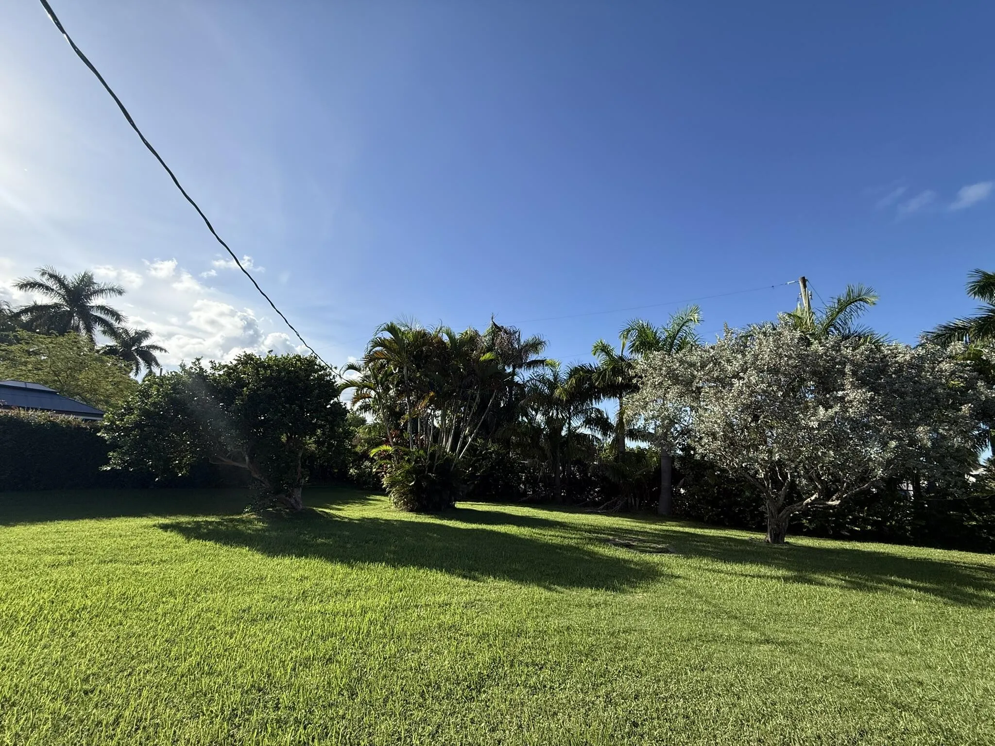 Private Backyard