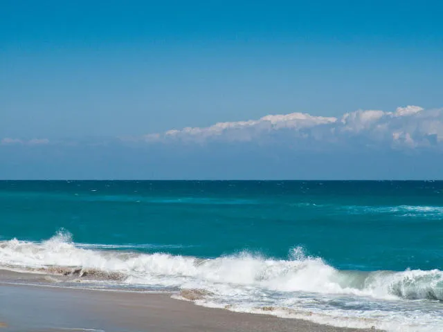 Ocean at the Patrician
