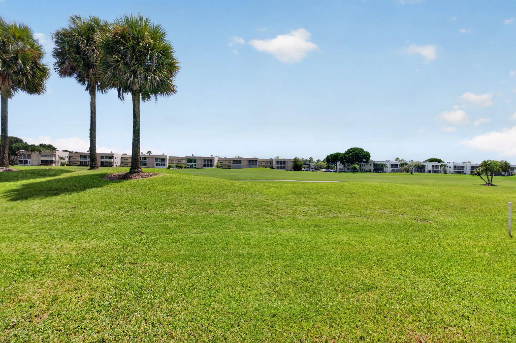 Loads of Green Space