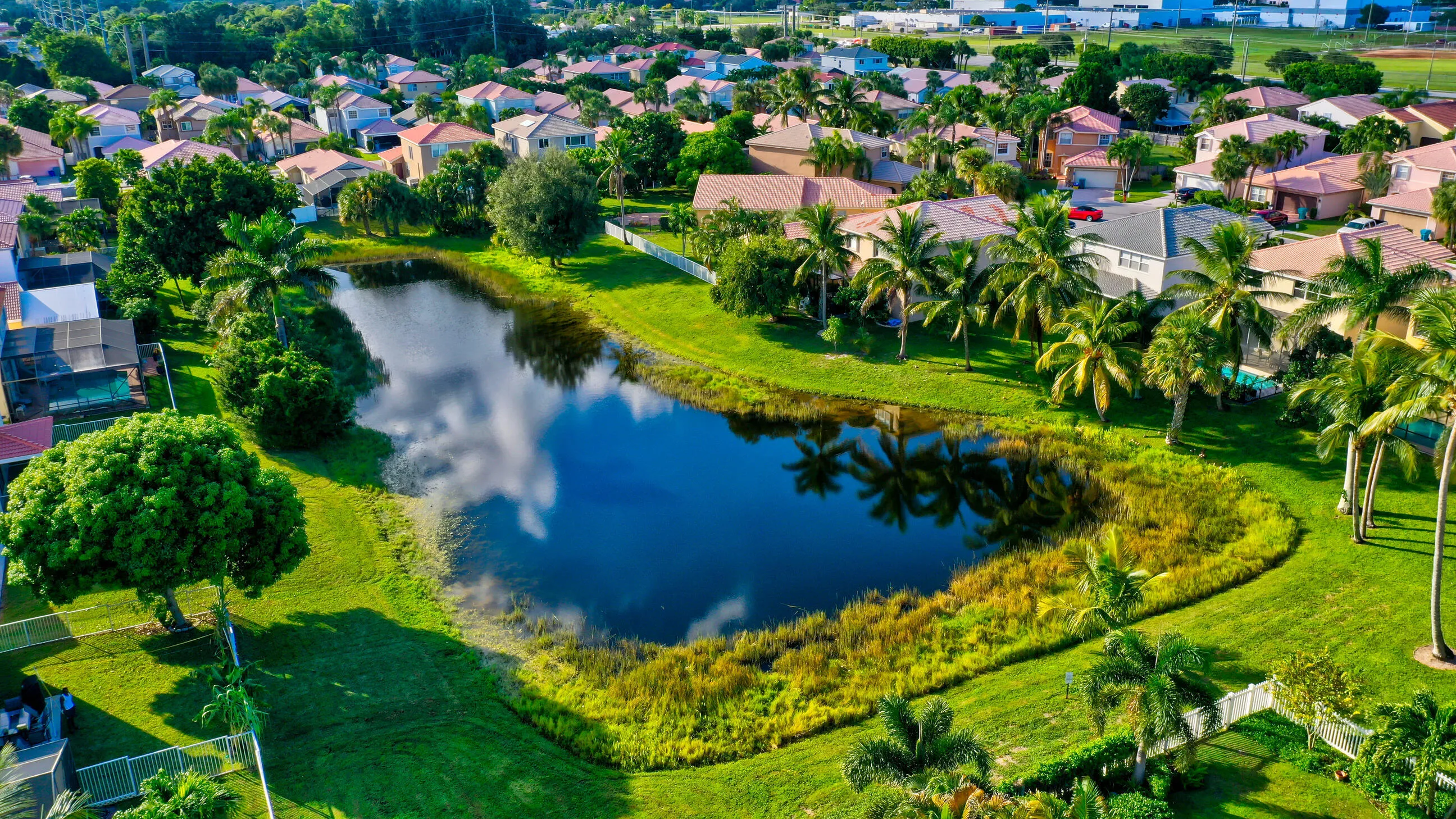 Lake view