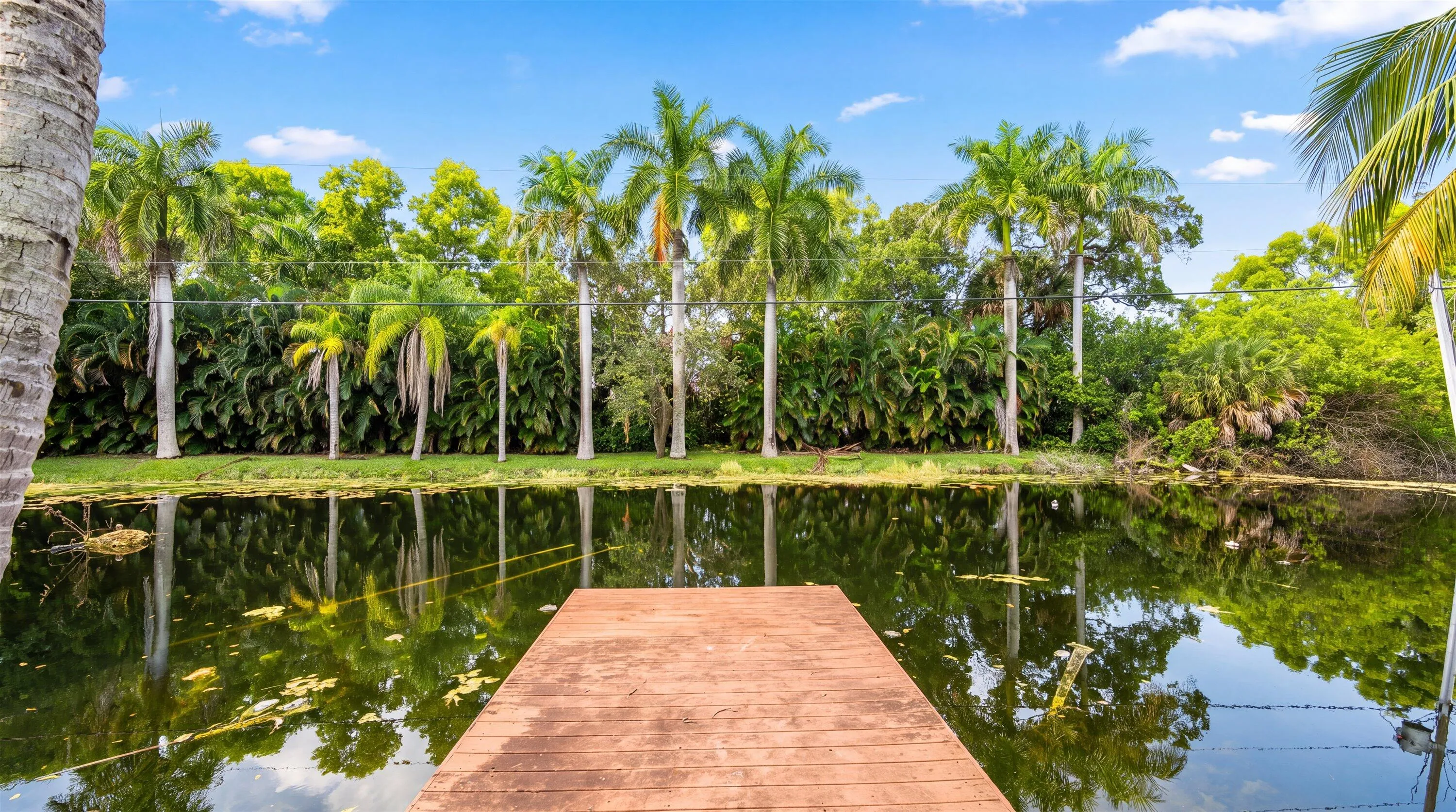 Fish Off Your Dock