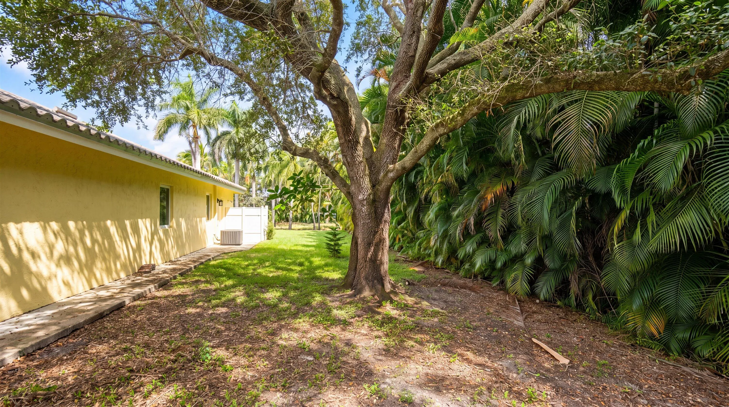 Side Yard