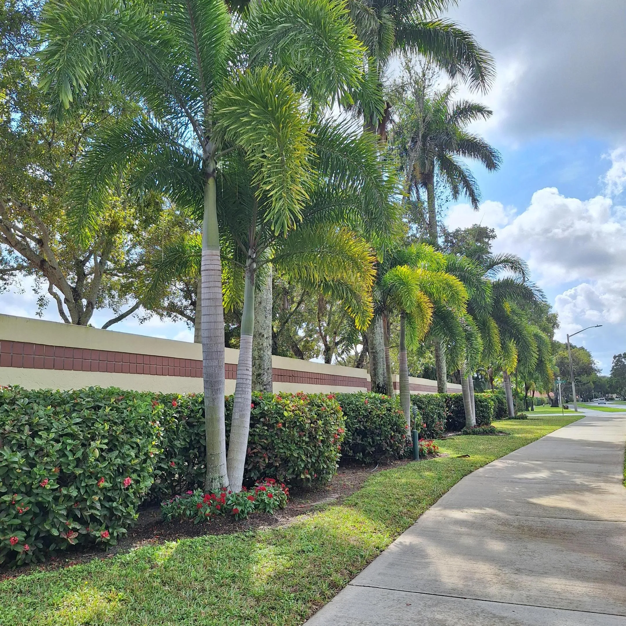 walking path (2)