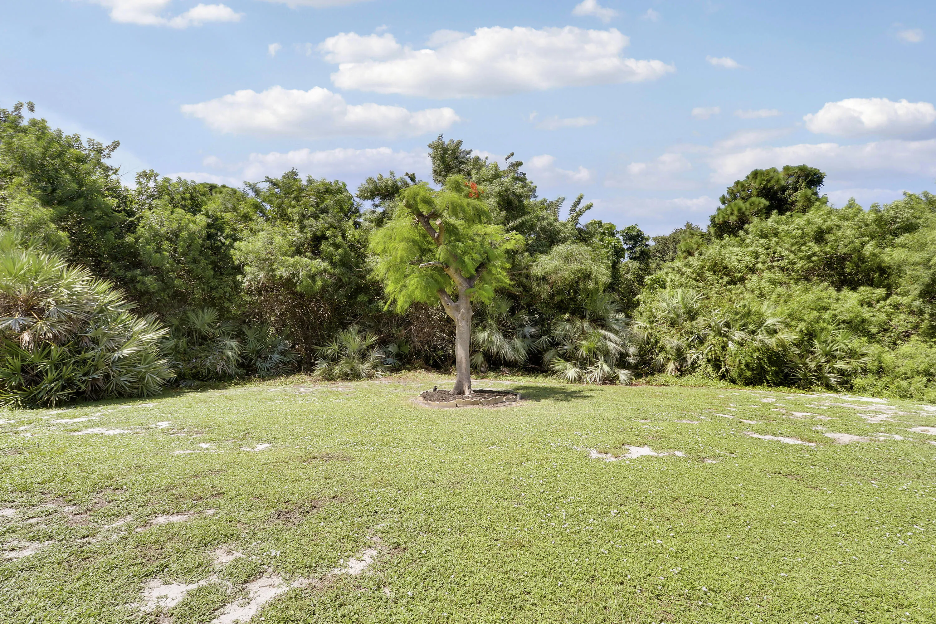 Property photo 49