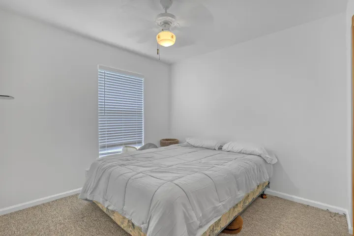 102 Sand Pine (23)