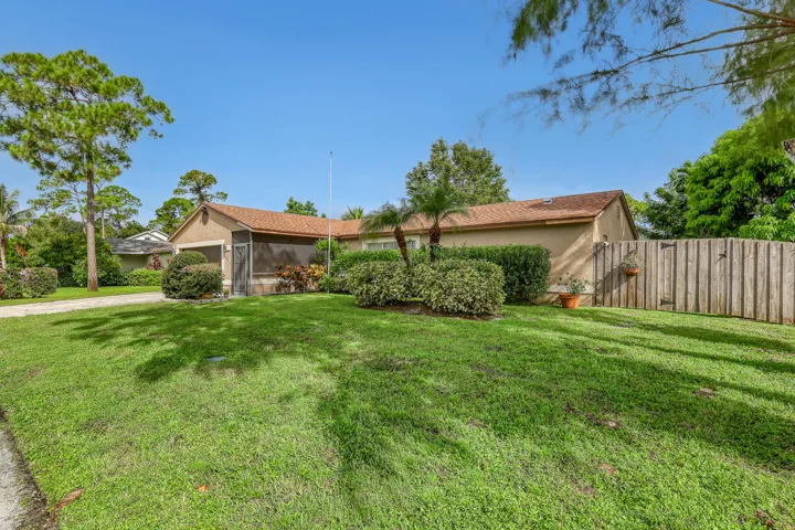 102 Sand Pine (3)