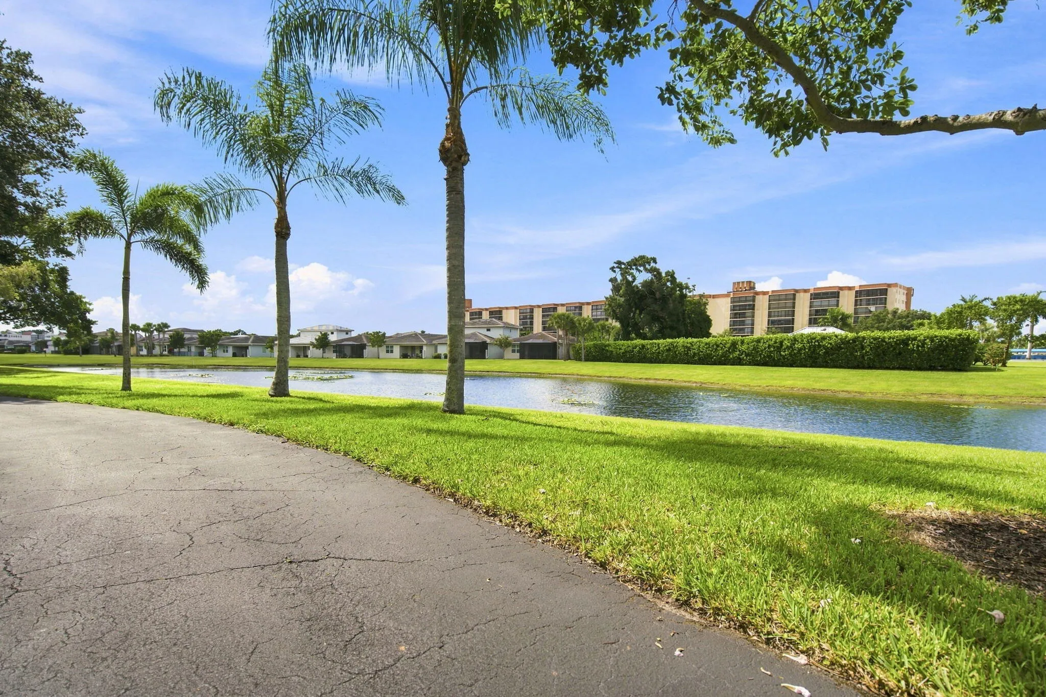 Paved pathway bordered by manicured lawn and mature palm trees, featuring a serene water element