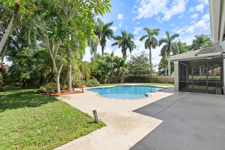 Freeform swimming pool with integrated steps, surrounded by a concrete patio