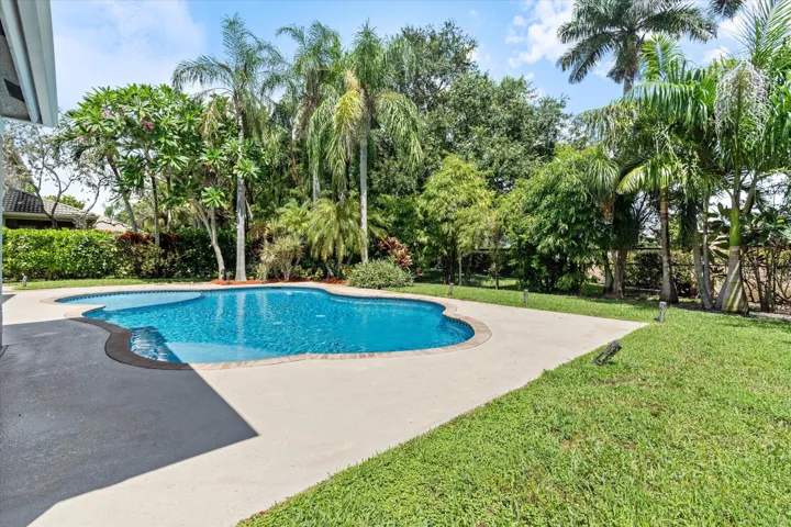 Freeform swimming pool with a tiled interior, surrounded by a concrete patio and manicured lawn, bordered by mature tropical landscaping