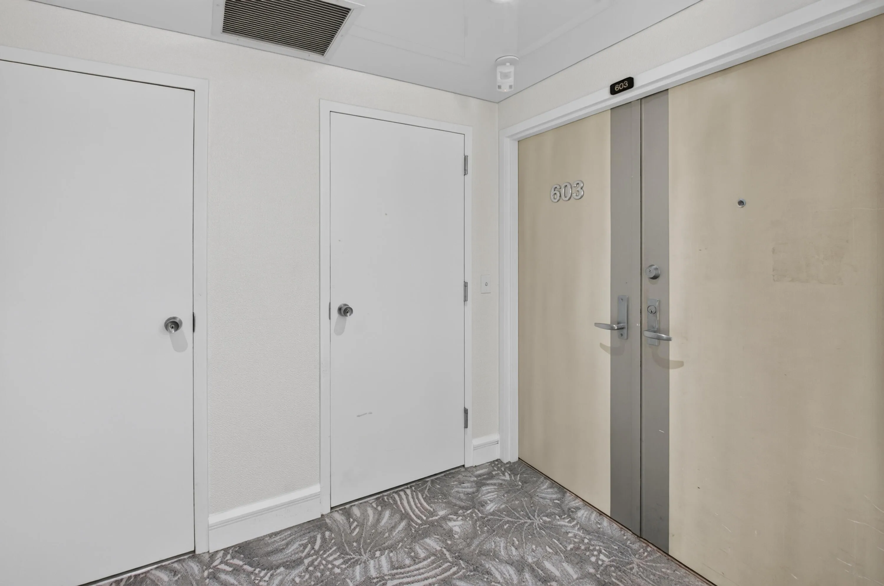 Entryway featuring a patterned floor, two white interior doors, and a double-panel entrance door with metal hardware