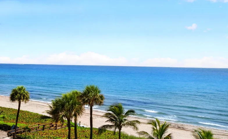 Expansive oceanfront scenery featuring a sandy beach, multiple palm trees, and lush green ground cover