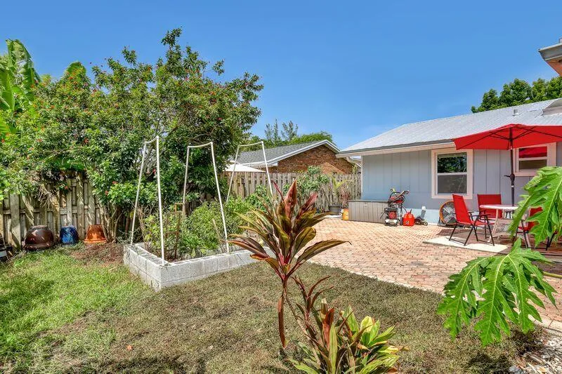 Vegetable Garden