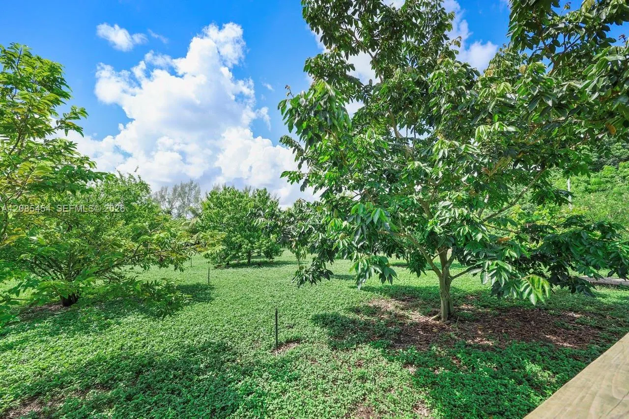 Property photo 20