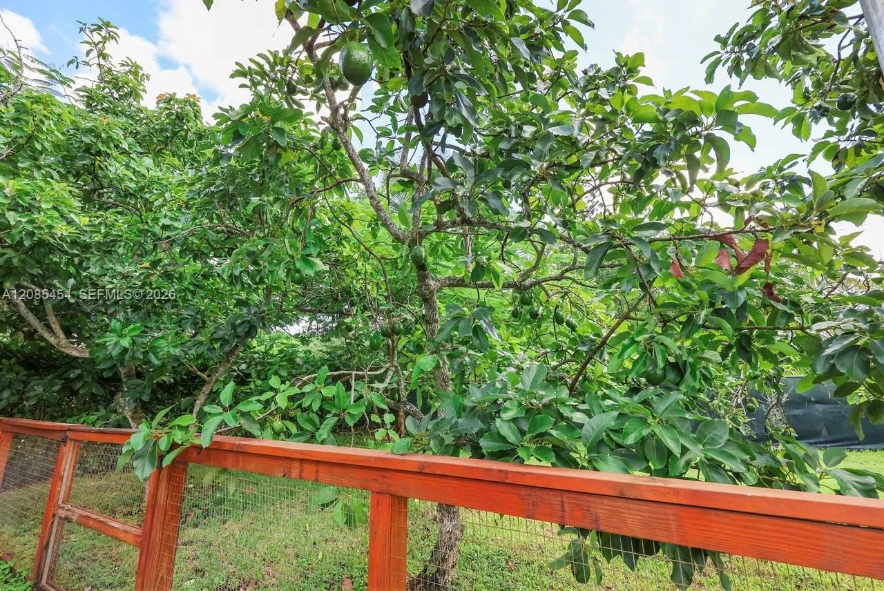 Property photo 46