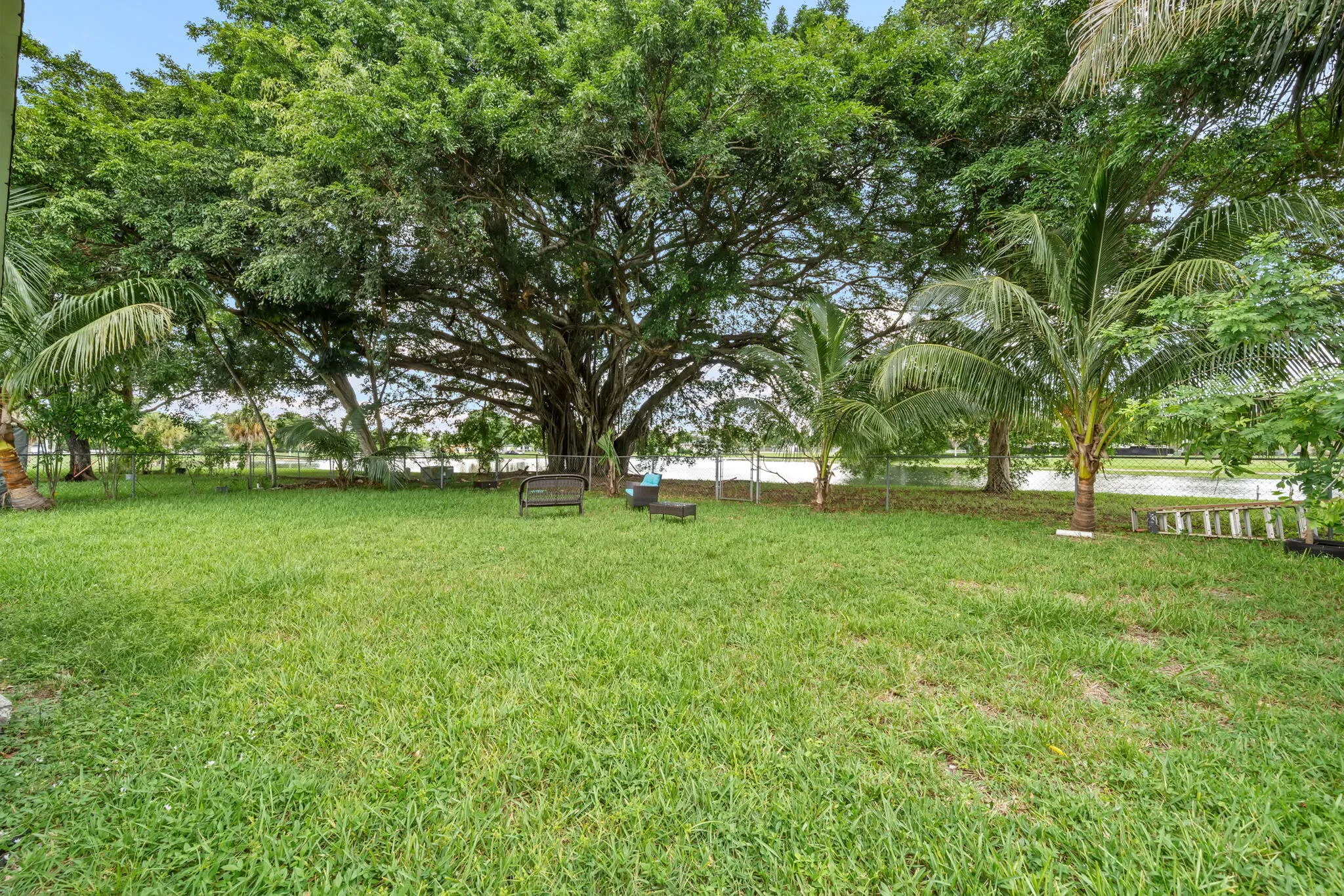 34-web-or-mls-DSC01536