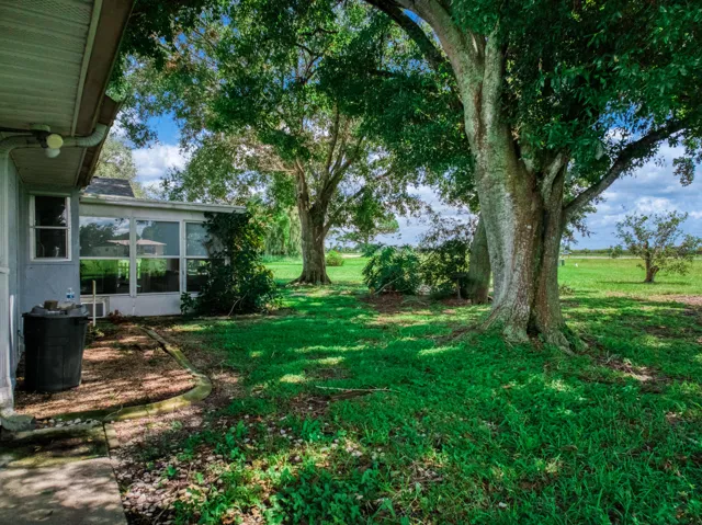 exterior - backyard 1