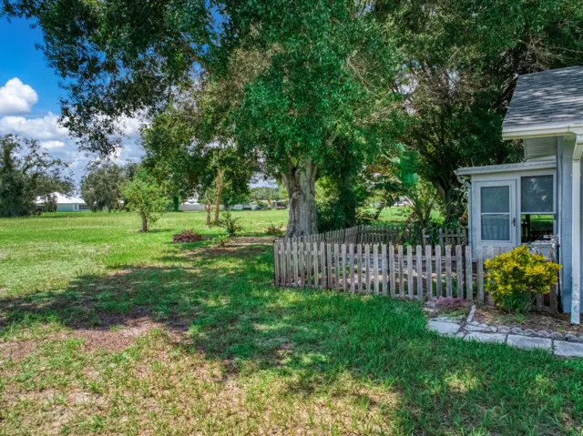 exterior - backyard 6