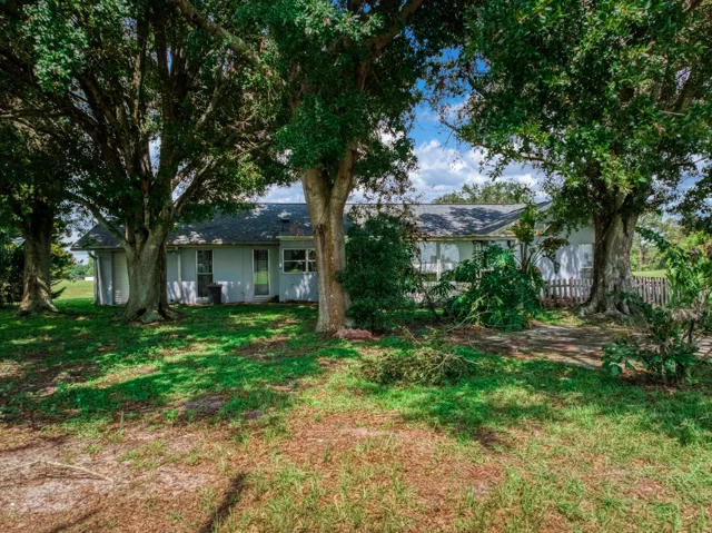 exterior - backyard 3