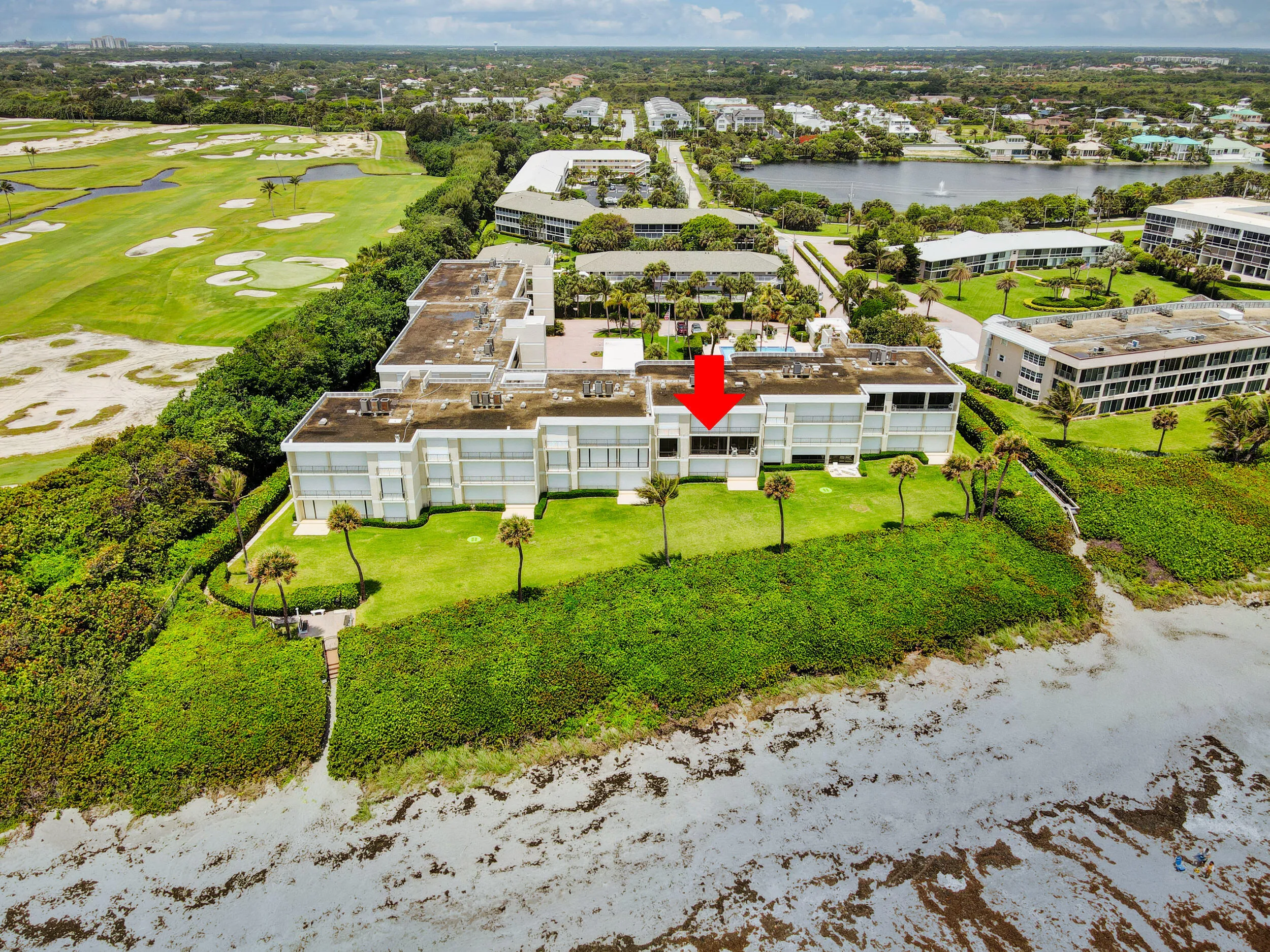 Unit 203 View