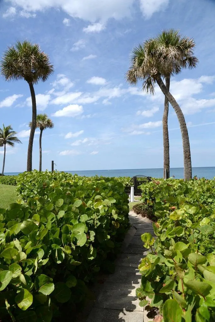 Pathway to Beach
