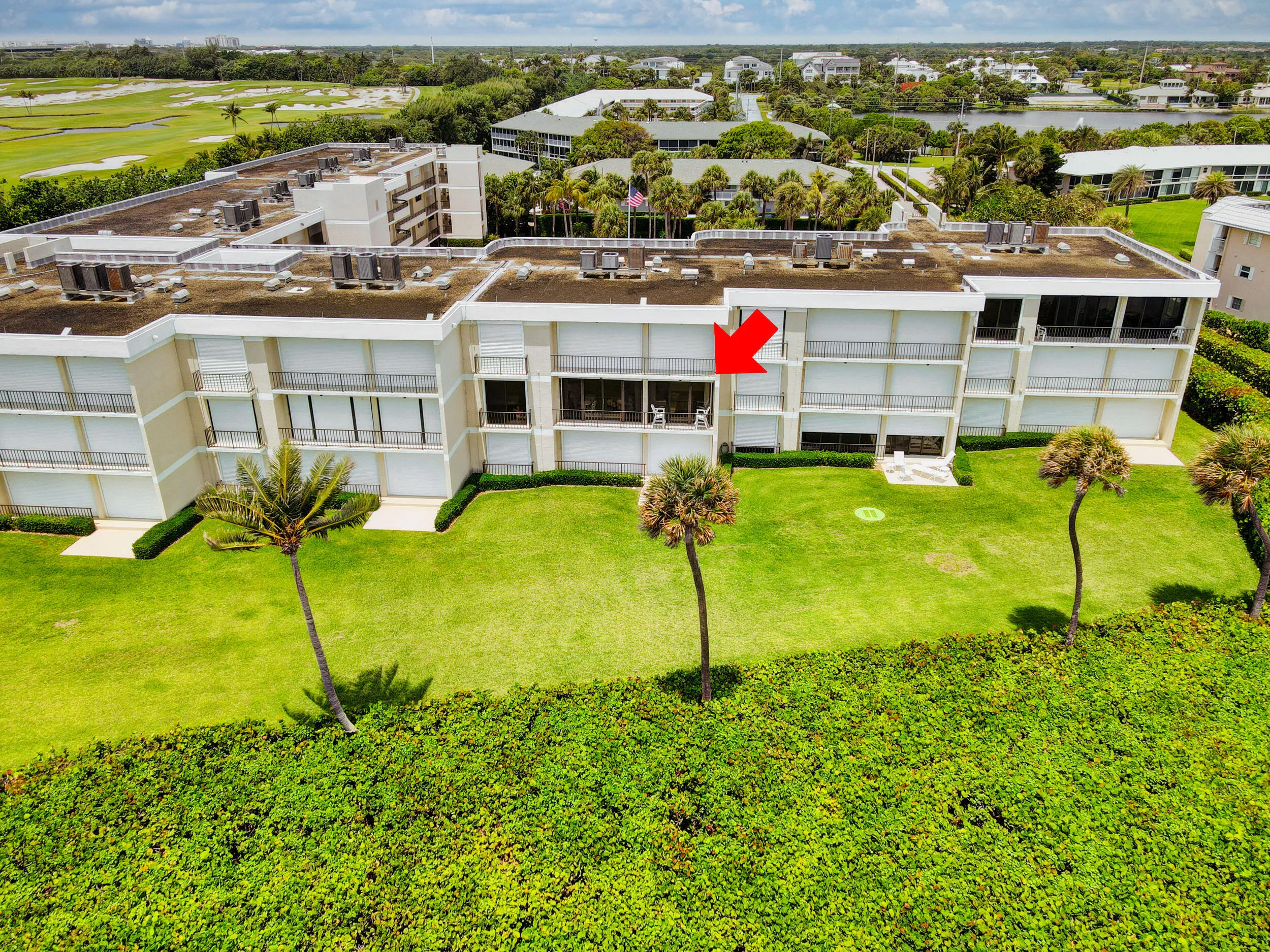 Unit 203 View