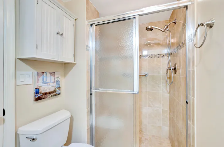 Guest Bathroom Shower