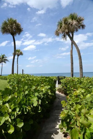 Pathway to Beach