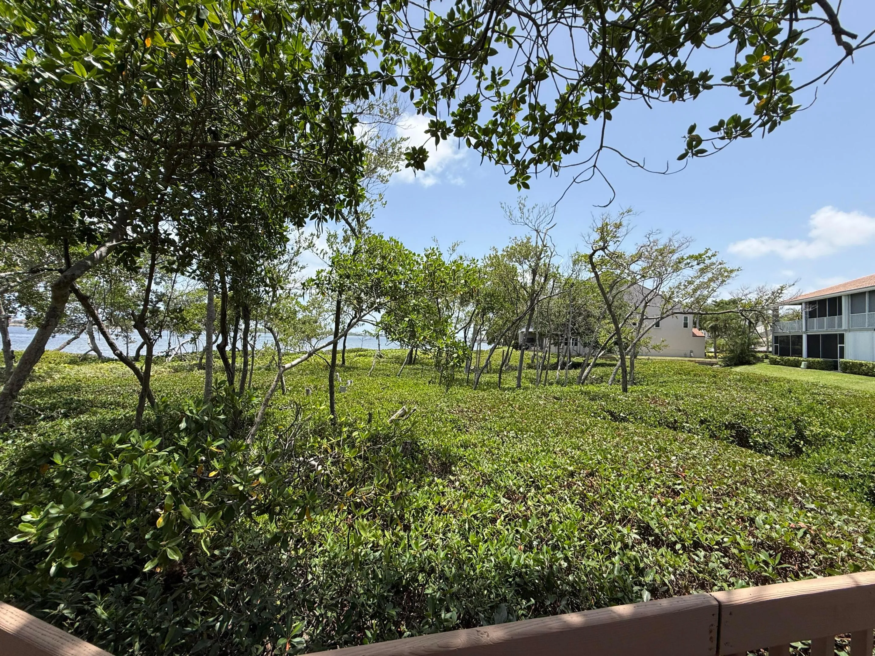 Community Boardwalk & Preserve