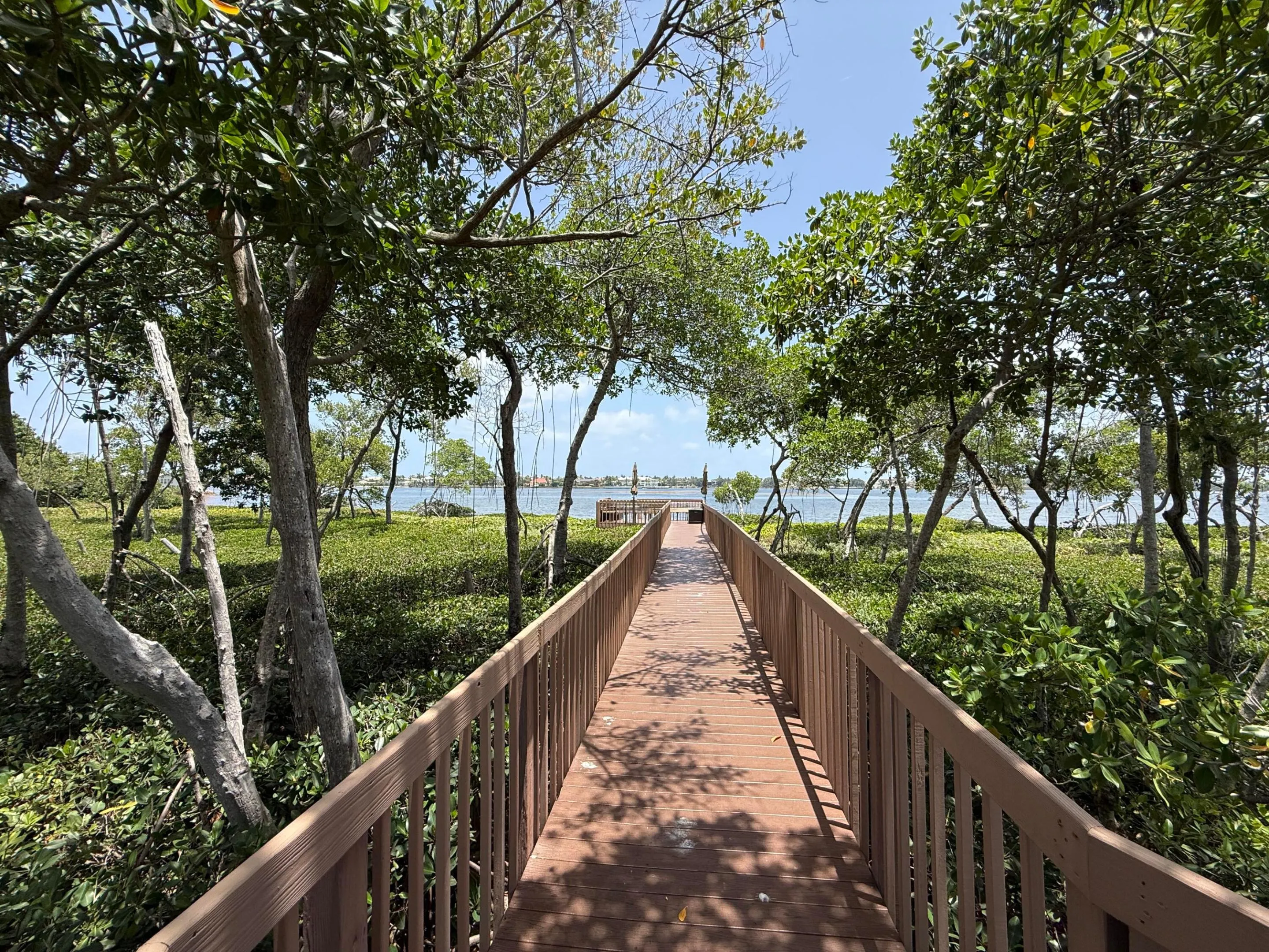 Community Boardwalk & Preserve