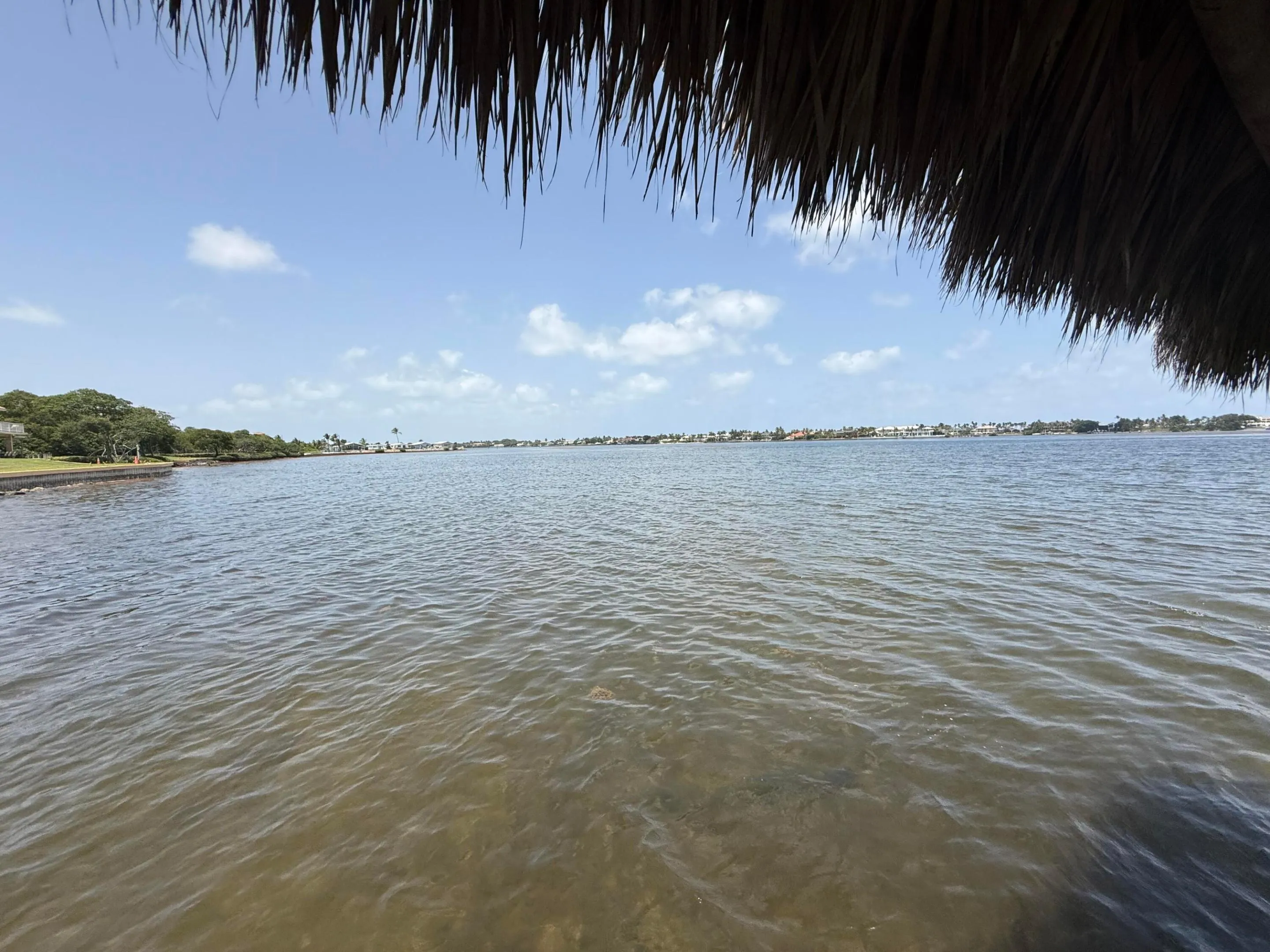 Community Tiki Hut Dock North View