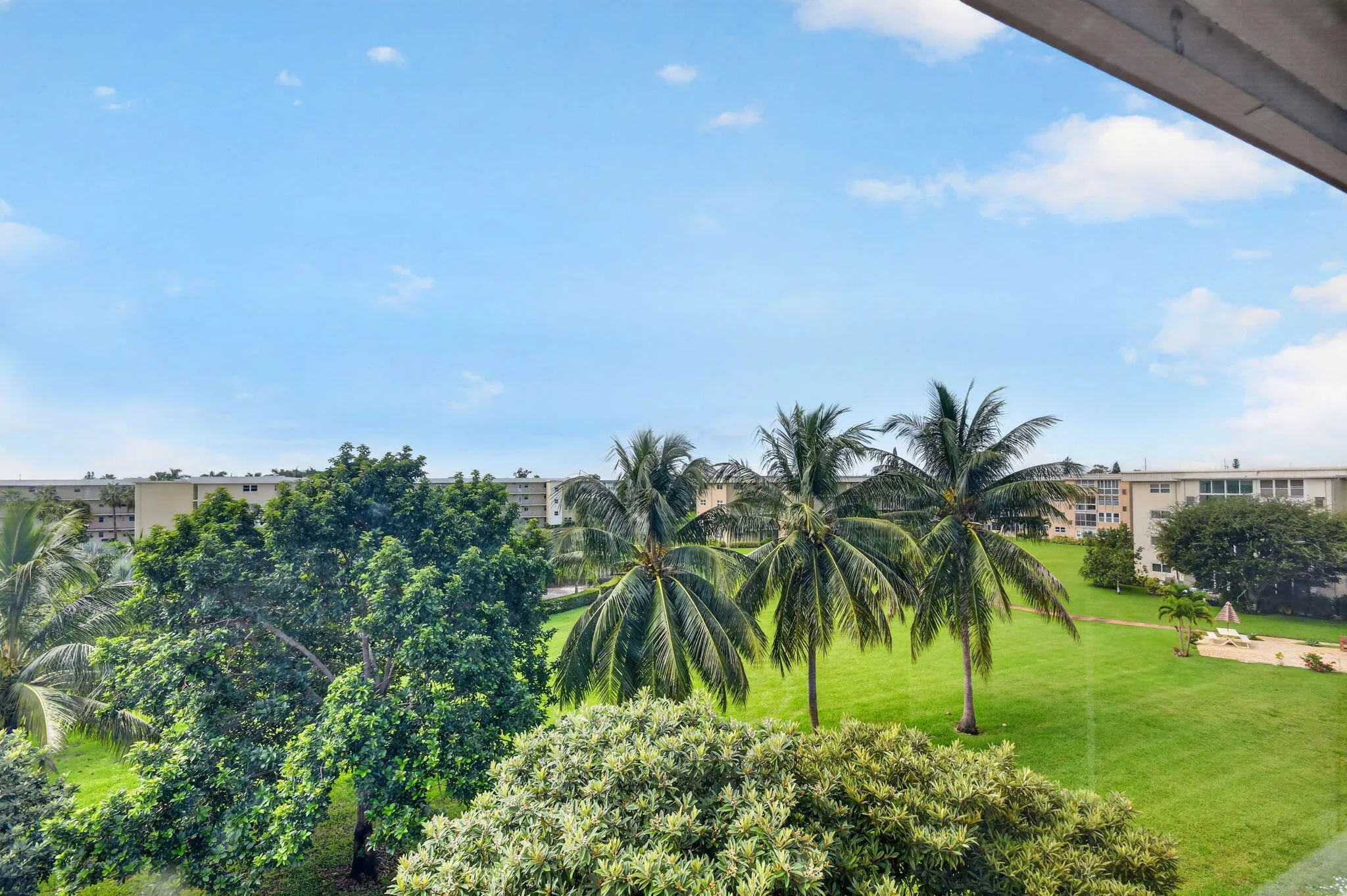 view from sun room