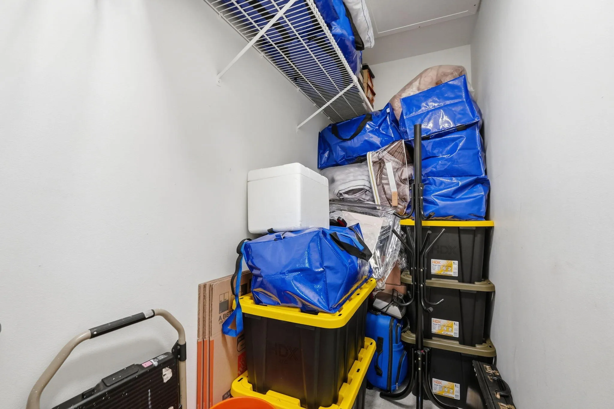7-web-or-mls-209_Brighton_E_05951