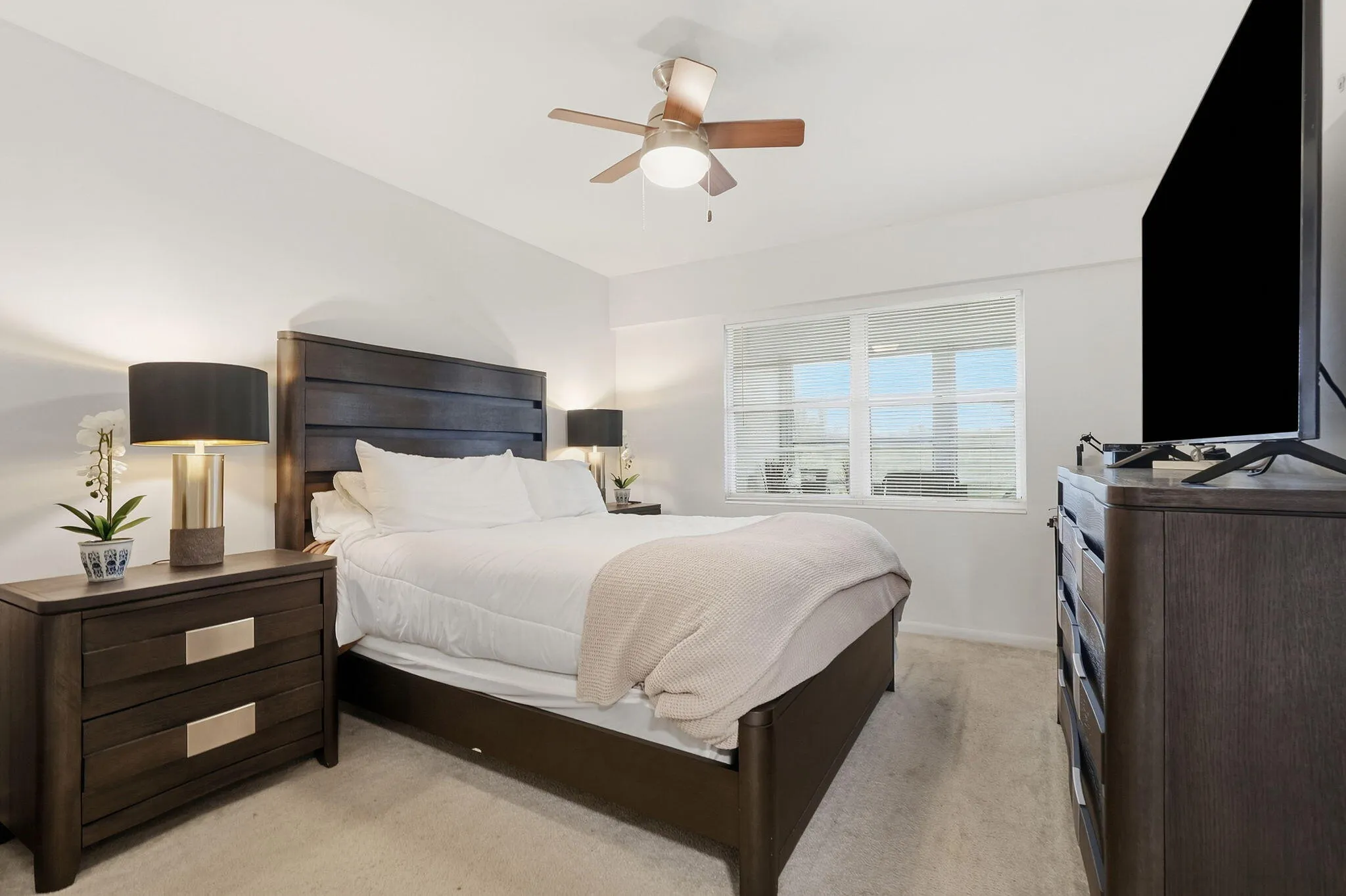 1-web-or-mls-209_Brighton_E_05933