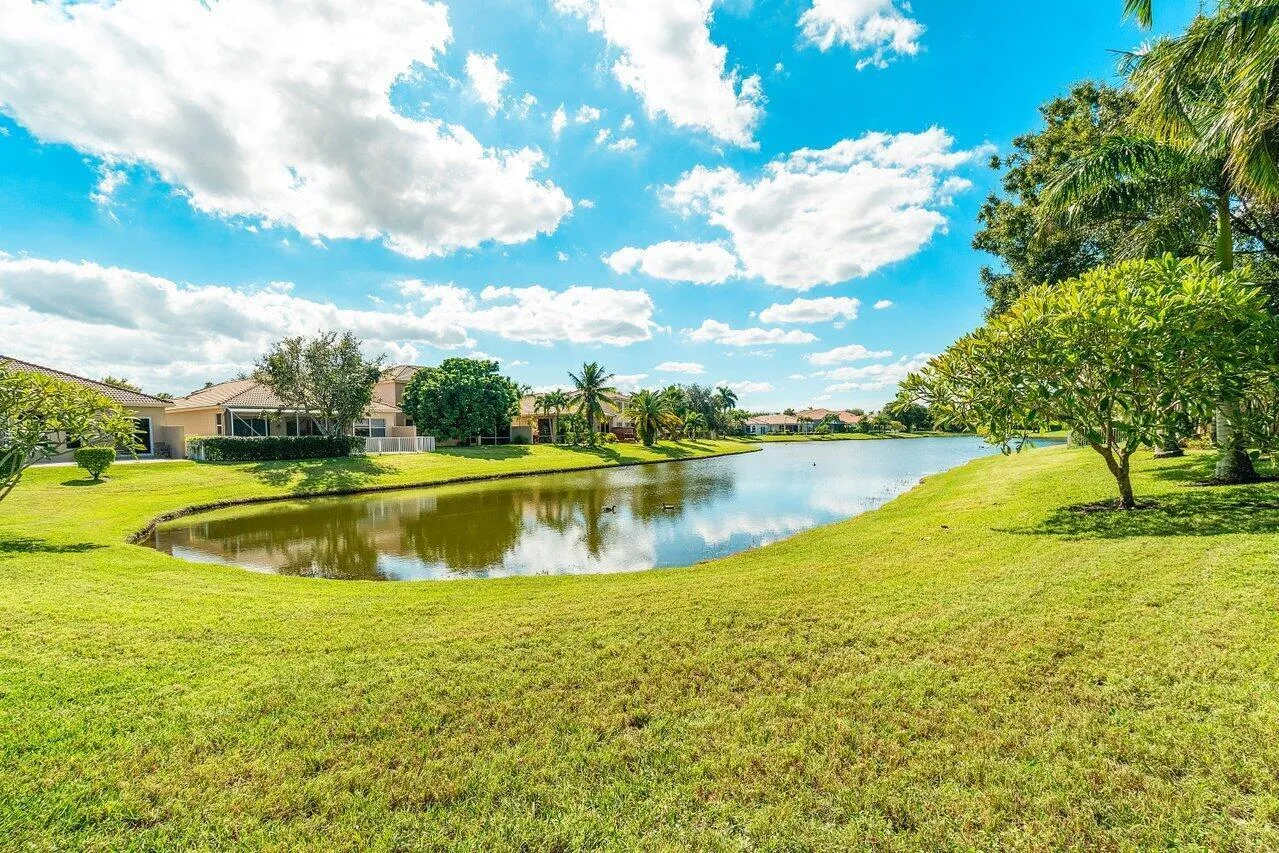 Lake Views