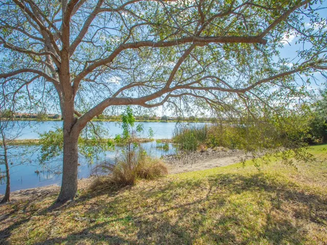 Expansive waterside grounds featuring a mature tree, natural shoreline, and distant residential structures