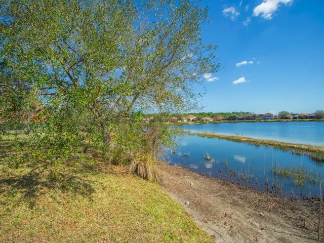 Expansive waterside grounds featuring a mature tree, natural shoreline, and distant residential structures