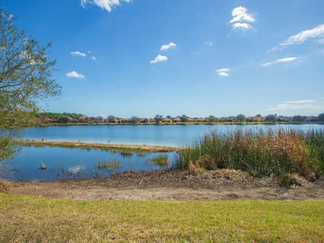 Expansive waterside grounds featuring a mature tree, natural shoreline, and distant residential structures