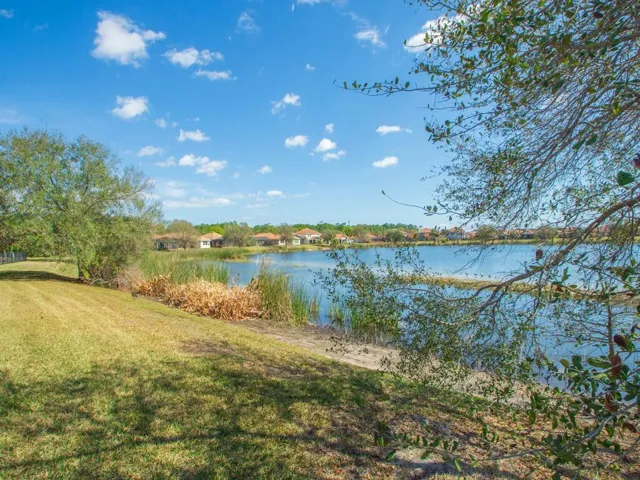 Expansive waterside grounds featuring a mature tree, natural shoreline, and distant residential structures