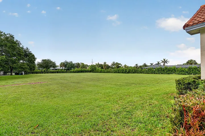 Front yard
