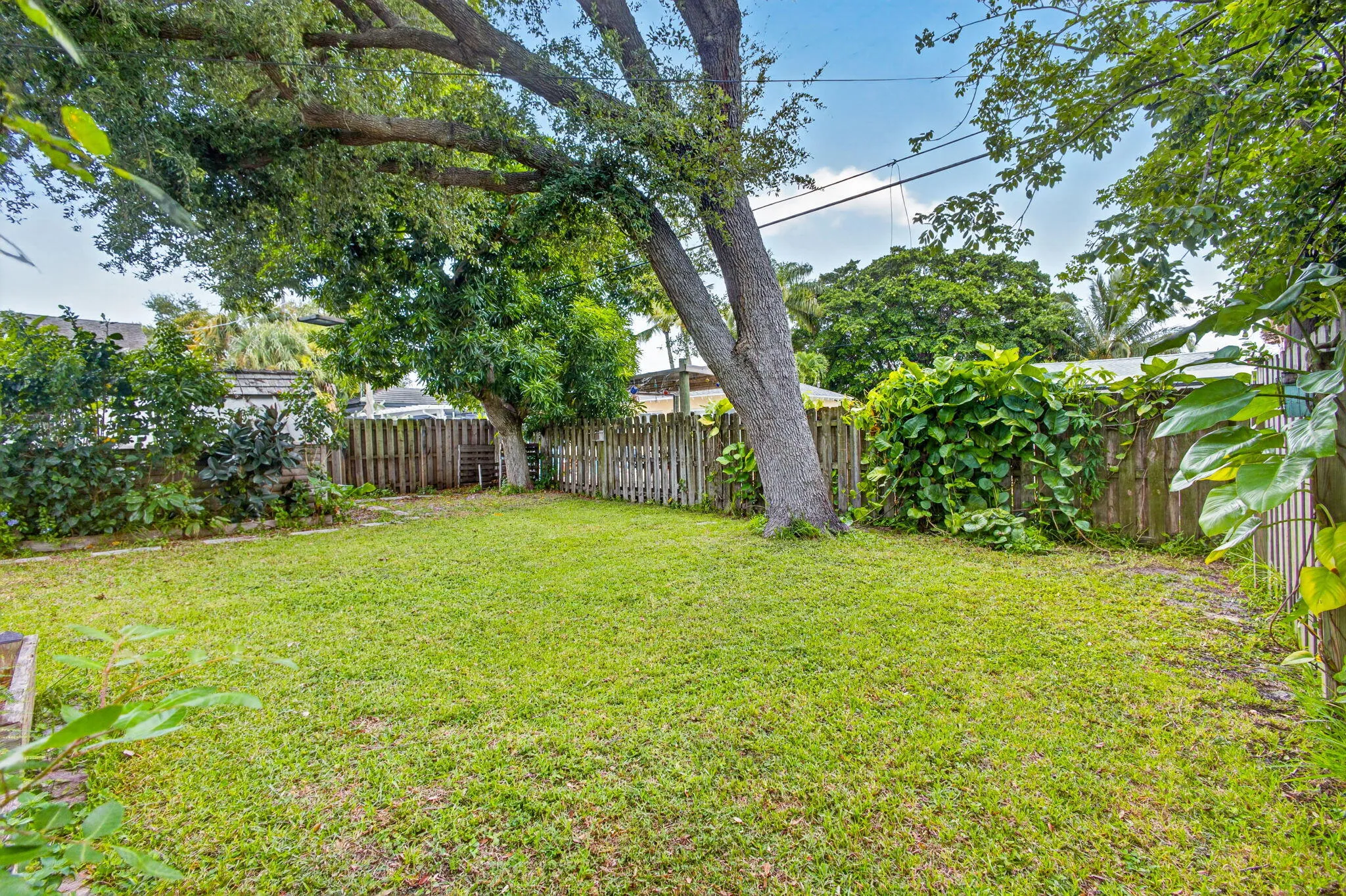45-web-or-mls-5D1A5176