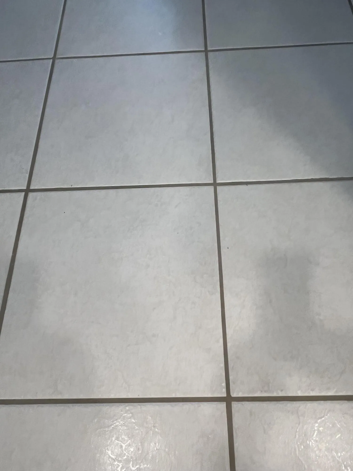 nice neutral colored tiling throughout