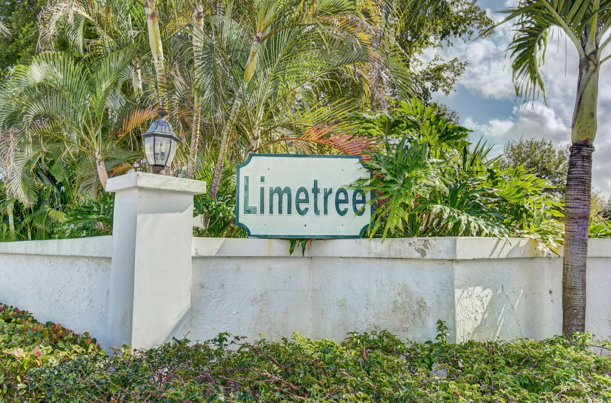 56-web-or-mls-10_limetree (10)