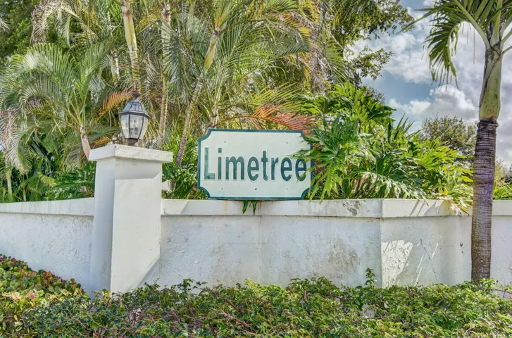 56-web-or-mls-10_limetree (10)