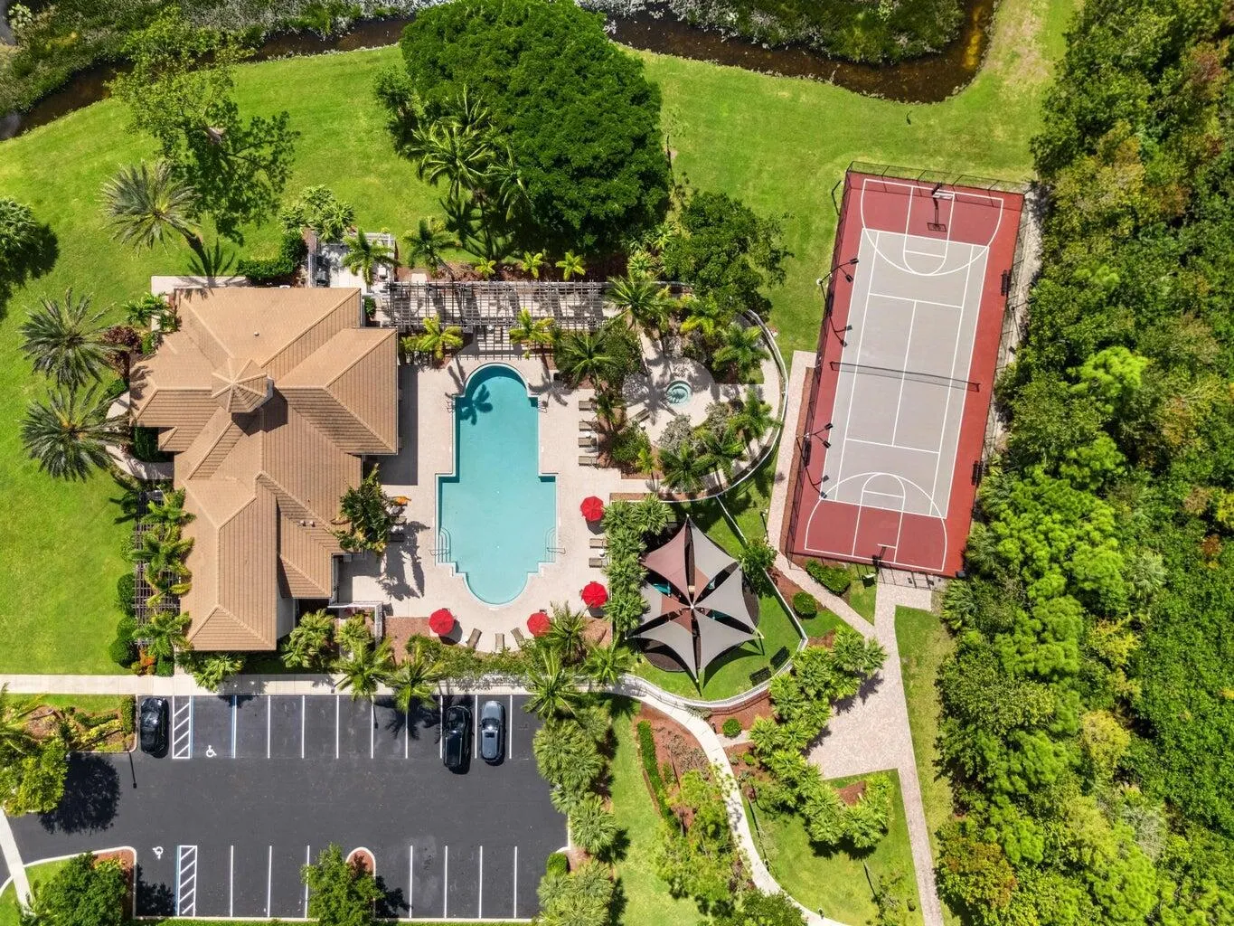 thoroughbred aerial