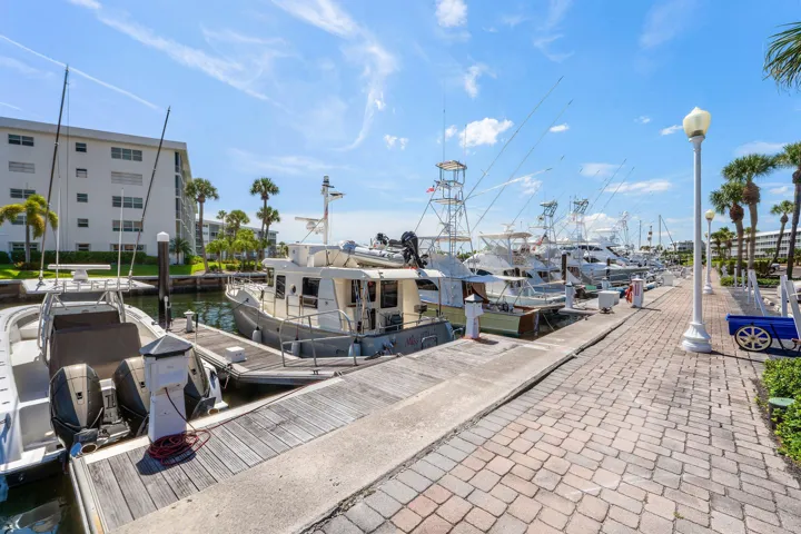 NPB Marina