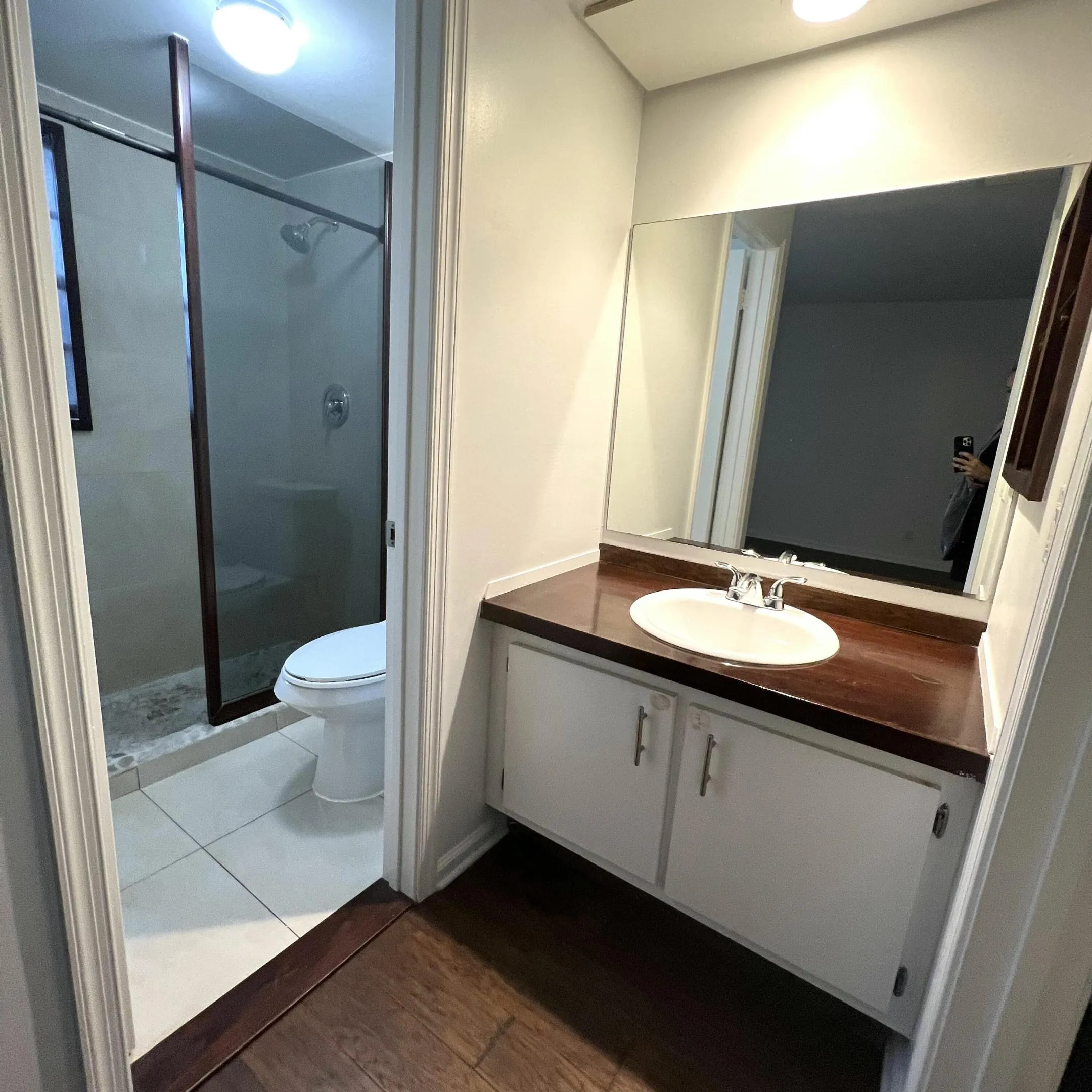 Master vanity area