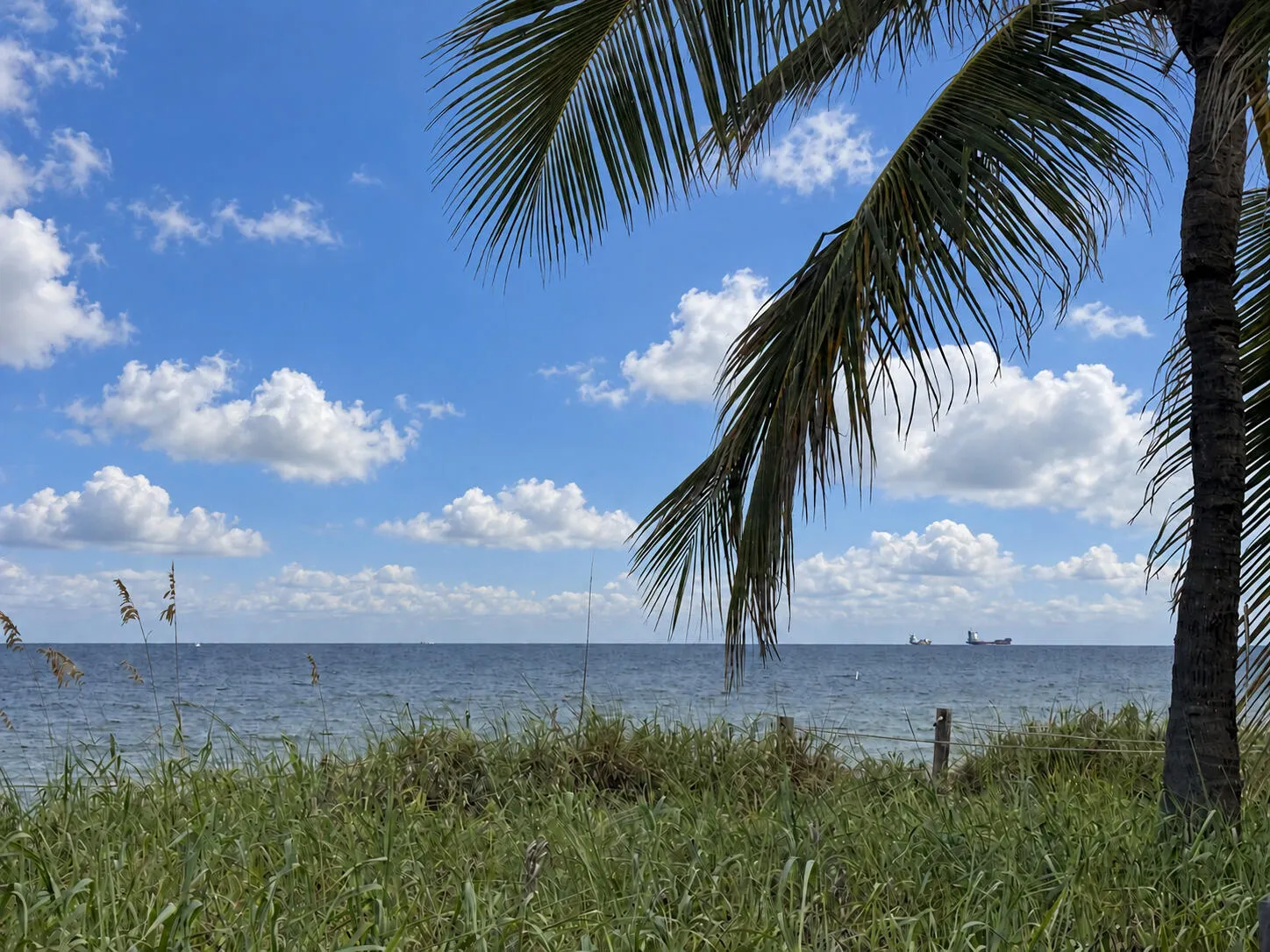 MLS_photo_001