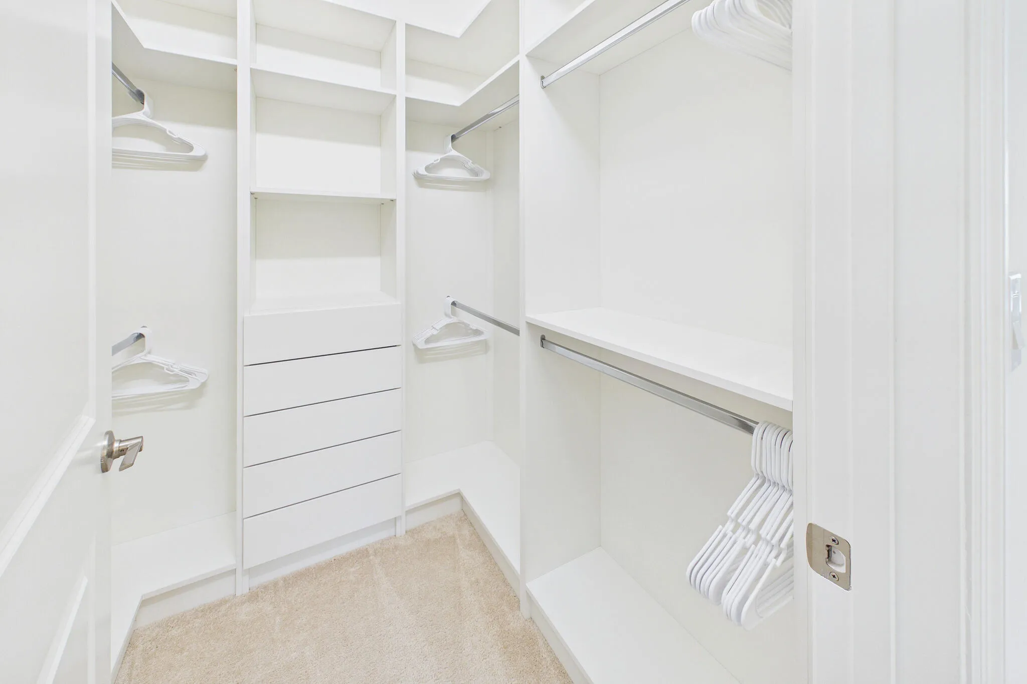 Master Closet #2